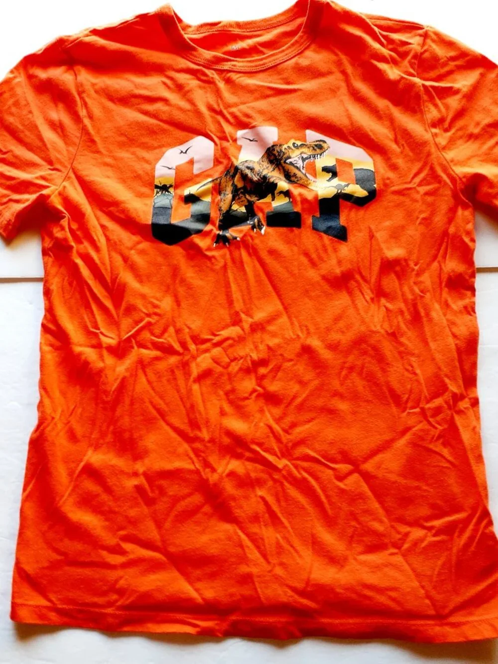 Gap Boys T-Shirt Dinosaur Orange Short Sleeve Logo XXL 14-16